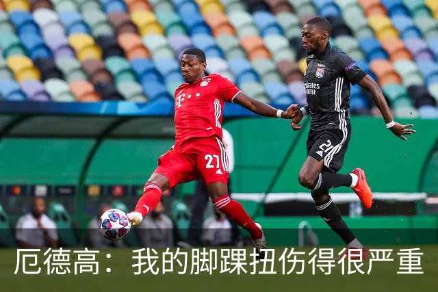 厄德高：我的脚踝扭伤得很严重